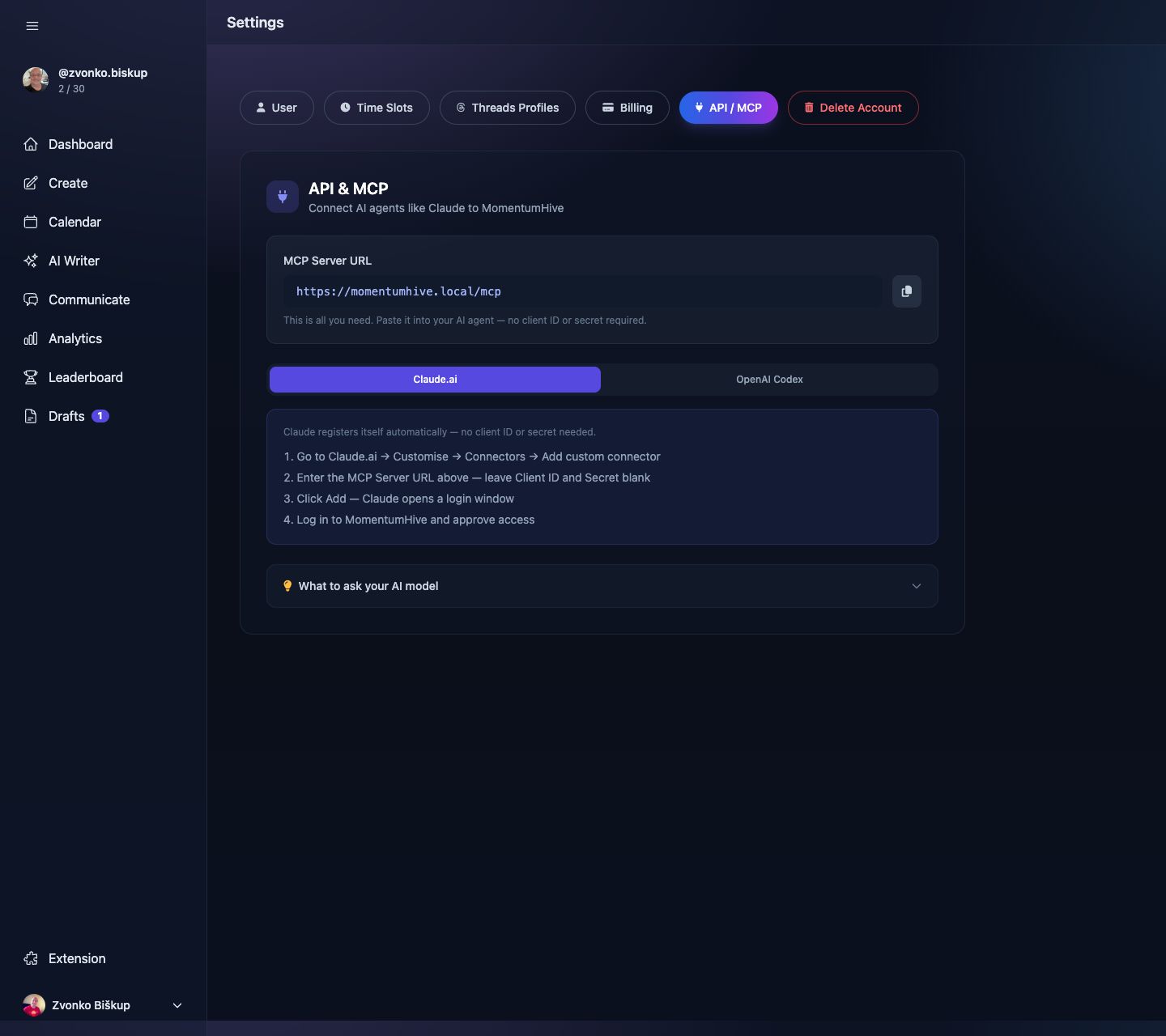 MomentumHive Settings API and MCP page with MCP server URL and setup instructions